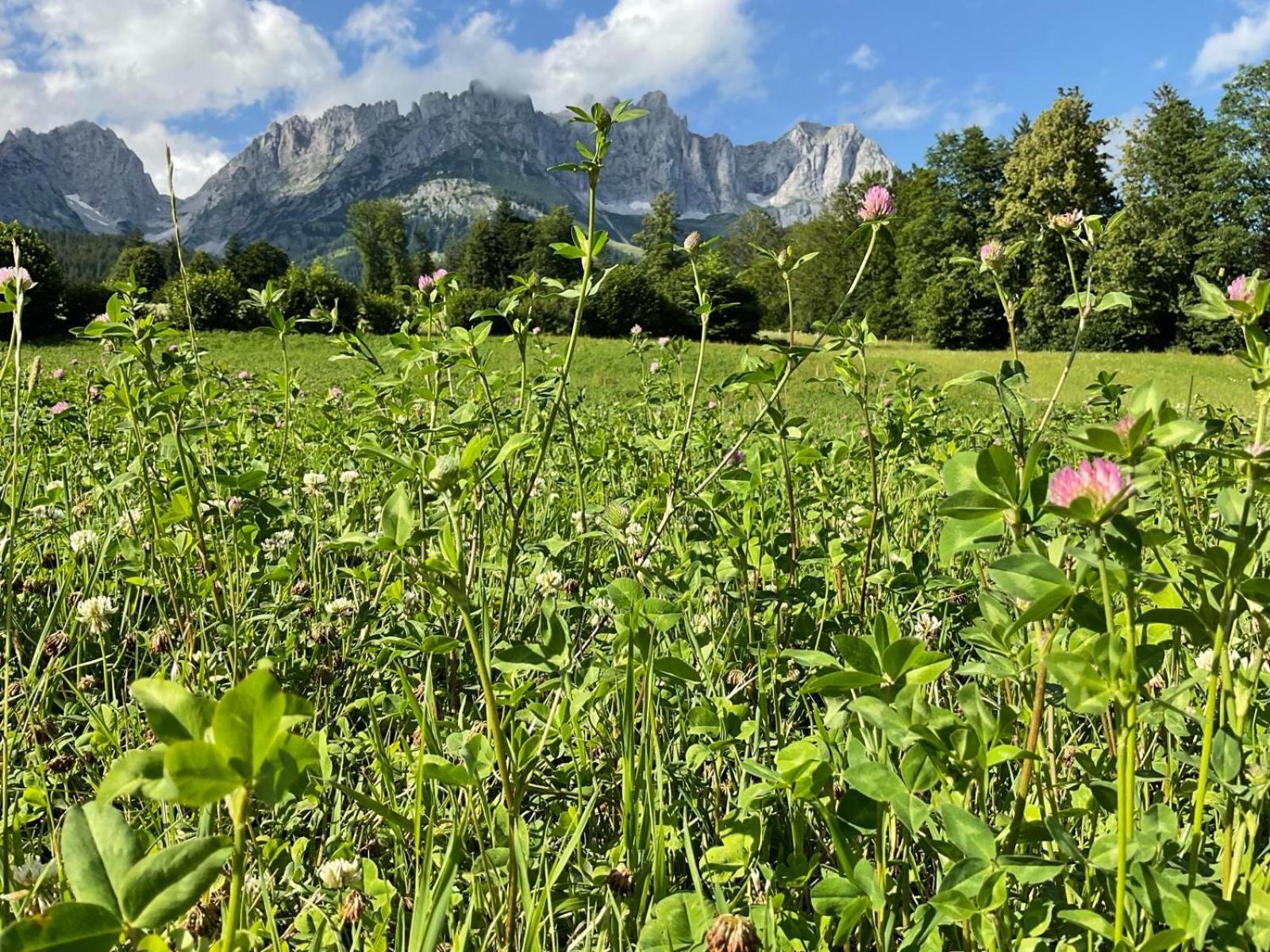 Kitz Deluxe Suite 1 & 2 Im Zentrum Mit Eigenem Spa & Parken By Belle-Stay Kitzbühel Eksteriør billede